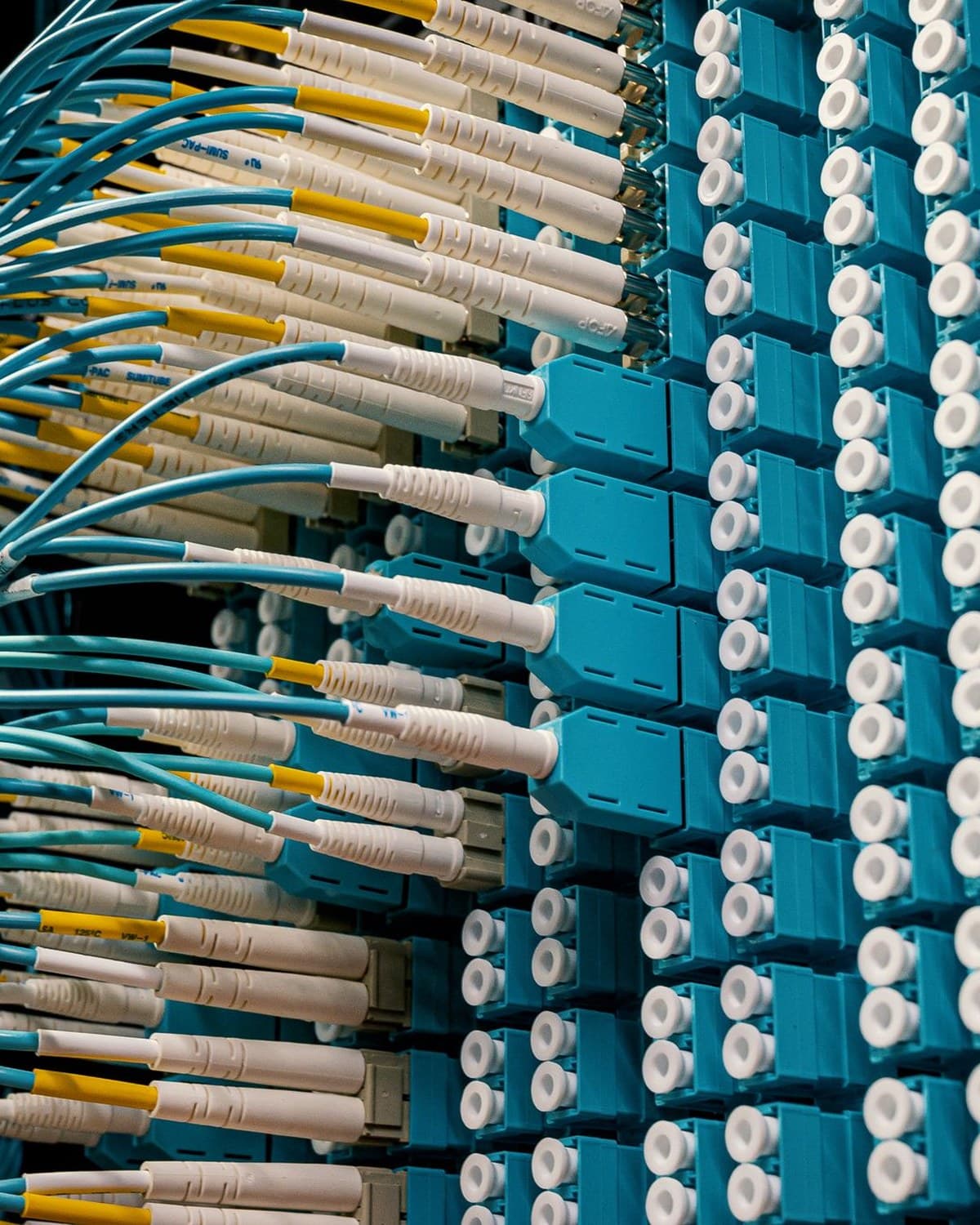 Cavi in fibra ottica su pannello di rete